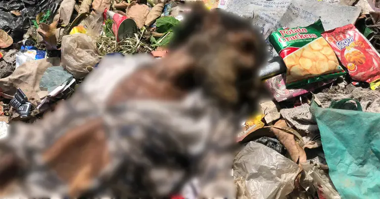 ময়লার ভাগাড়ে পড়ে থাকা মরদেহ